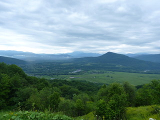 Beautiful flower blossoms in the mountains, in summer