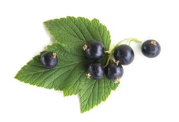 Black currant isolated on white background