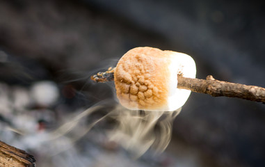 Roasting a Marshmallow