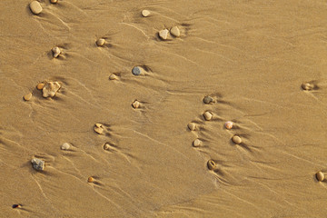 Fototapeta na wymiar sea ​​stones on the sandy beach, sea at low tide