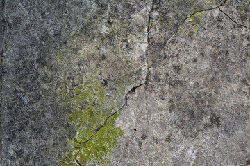 fragment of old gray cement with cracks and green moss