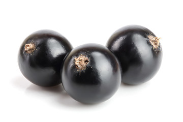 three black currant isolated on white background