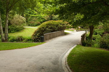 Beautiful Alley In Park. Garden Landscaping Design