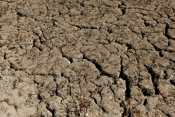 Cracked earth background texture. Abstract texture for background