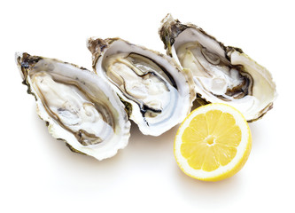 opened fresh oysters isolated on white background