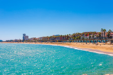 Barceloneta beach in Barcelona. Nice sand beach with palms. Sunny bright day with blue sky. Famous tourist destination in Catalonia, Spain