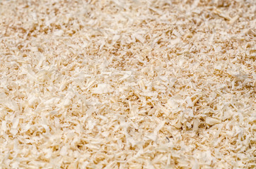 Wood shavings, processing, background for carpentry