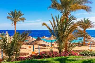Plage de villégiature ensoleillée avec palmier sur la côte de la mer Rouge à Charm el-Cheikh, Sinaï, Égypte, Asie en été chaud. Lumière ensoleillée