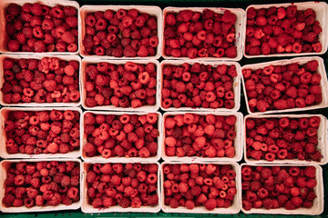 Fresh Red Berries Raspberries At Market In Trays, Containers. Top View