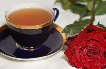Red rose and a cup of tea on white background