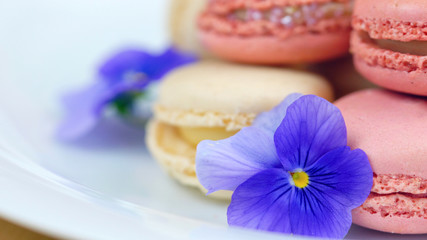 Fototapeta na wymiar Macro close up of colourful macaron cookies.