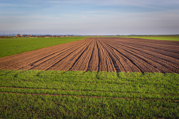 Plwed field near Rabensburg village in Austria