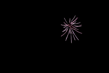 Fototapeta premium Fireworks night show in United Kingdom