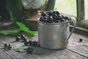 Mug full of black currant berries on wooden table in retro village house.