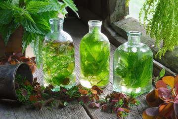Bottles and vials of tincture or infusion of healing herbs, nettle and medicinal herbs on wooden...