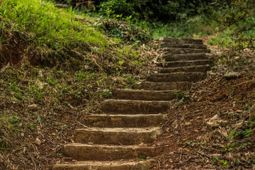 soft focus concrete stairs in deep forest park outdoor nature landscape environment in summer colorful day time