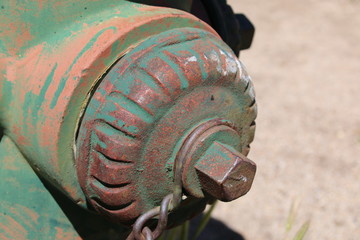 Green Fire Hydrant Cap