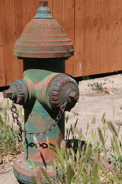 Green Fire Hydrant