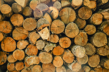 Pile of cut tree wood as abstract natural background