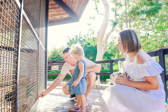 Cute toddler child girl and her parents feeding rabbits sitting in cage at the zoo or animal farm. Outdoor fun for kids. Family rest, spending time together concept. Selective focus. Copy space.