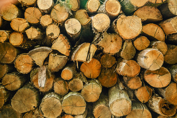 Wood logs background. Pile of cut tree wood as abstract natural background.