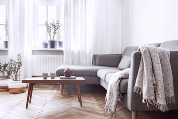 Stylish scandinavian interior of living room with small design table and sofa. White walls, plants...