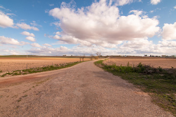 Camino 