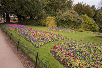 Jardín de flores en Bristol, Inglaterra