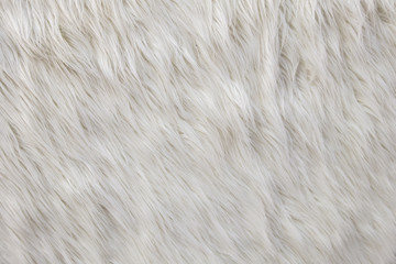 furry white shaggy backdrop texture