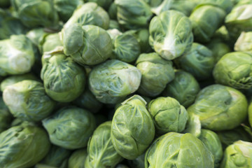 Fototapeta na wymiar dreen fresh brussels sprouts at the market