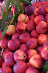 Juicy organic nectarines on sale at a market stall alongside the Port of Split in Croatia, June, 2018