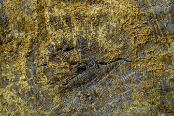 Old wooden board, background texture red yellow