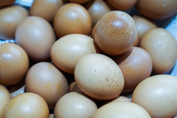 Fresh eggs for cooking breakfast