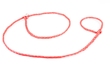Red poly leash for pets at the veterinarian