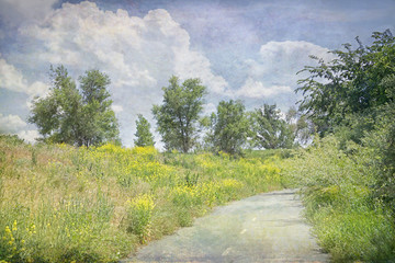 Fototapeta na wymiar Textured photograph of a bike path winding through yellow Mustard plant