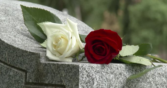 Two Roses On Headstone / Grave Stone In Cemetery