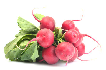 Fresh radish