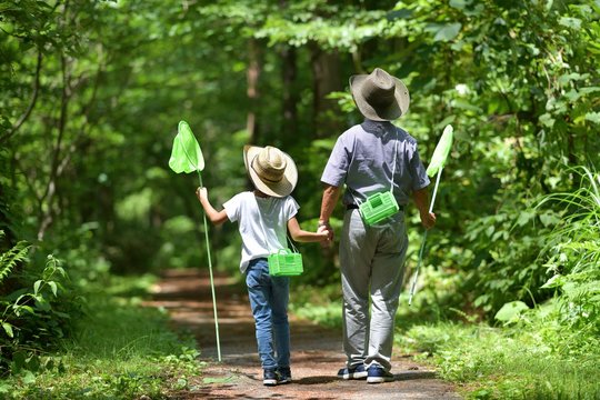 夏・緑の森を歩く