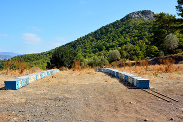 Rows of beehives on Bozburun peninsula in Turkey.