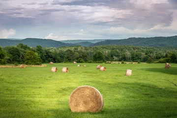 Foto op Canvas Hay bales in North Georgia Mountains © rodphotography