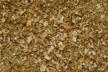 sand texture, background