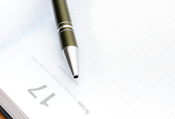 Naklejka premium Pen lying on calendar or organizer in office