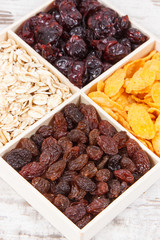 Healthy nutritious dried fruits with flakes as source vitamins, carbohydrates and dietary fiber