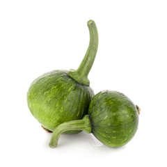 Green pumpkin isolated on the white background