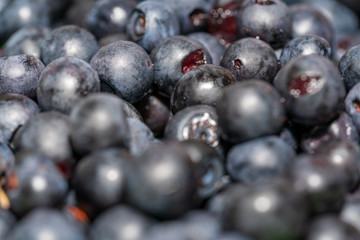Heidelbeeren
