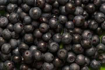 Heidelbeeren