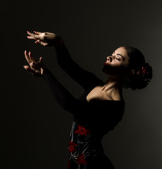 flamenco dancer on a dark background. free space for your text