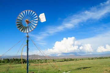 pasture Peaceful Mongolia