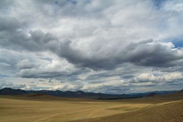 pasture Peaceful Mongolia