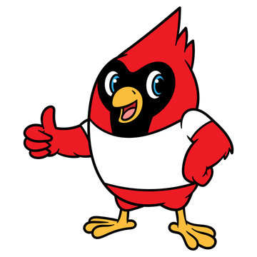 Cartoon Cardinal Bird Mascot